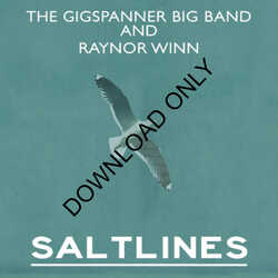 'SALTLINES' Double CD, DOWNLOAD ONLY.